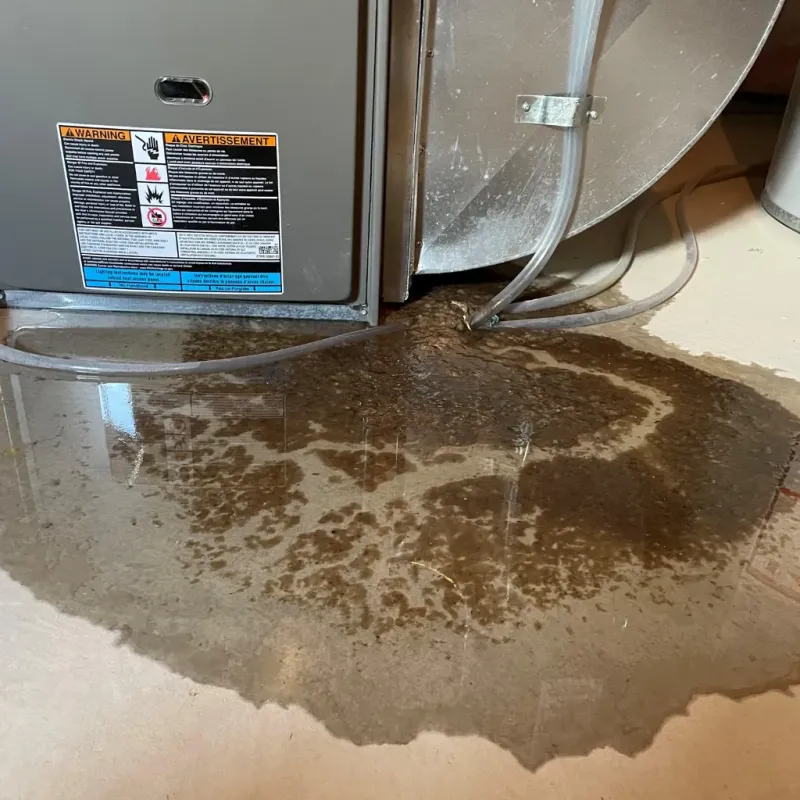 Appliance Leak Cleanup in Grandview Plaza, KS
