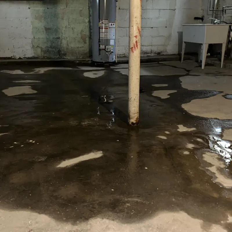 Emergency Water Extraction And Removal in Grandview Plaza, KS